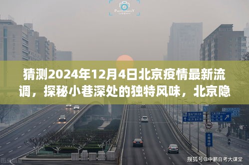 北京疫情流调下的美食奇遇，小巷深处的独特风味探秘（2024年12月4日最新猜测）