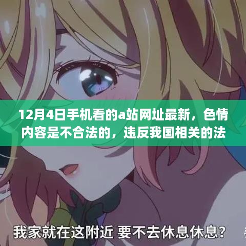 2024年12月6日 第12页