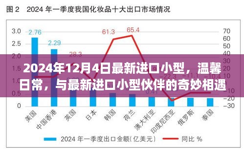 最新进口小型伙伴的奇妙相遇，温馨日常的奇妙体验（2024年12月4日）