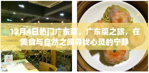 广东菜之旅，探寻美食与自然间的宁静时光（12月4日热门菜品）