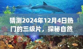 探秘秘境的心灵之旅，揭秘2024年热门三级片猜想与呼唤——12月4日前瞻