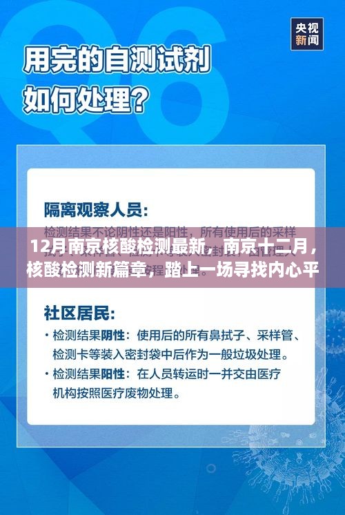 南京十二月核酸检测最新动态，寻找内心平静的绿色之旅