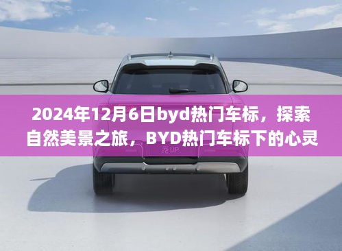 启程于2024年，BYD热门车标下的自然美景心灵之旅