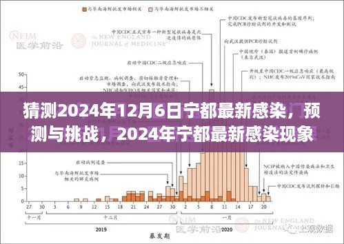 2024年宁都最新感染现象分析与预测挑战，12月6日的挑战与应对策略