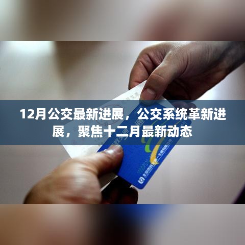 12月公交系统革新进展聚焦，最新动态与进展报告