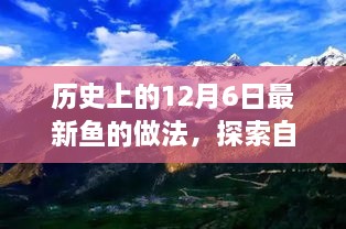 历史的12月6日，探索新鱼烹饪法与自然美景之旅，与鱼共舞寻找内心宁静