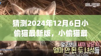 2024年小偷猫最新版特性、体验、竞品对比与用户群体深度解析