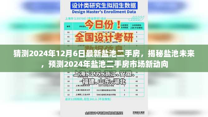 揭秘盐池未来，预测2024年盐池二手房市场动向与最新房源分析