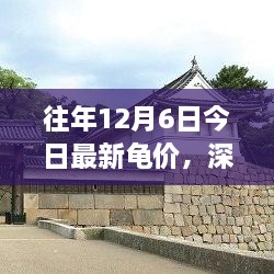 历年12月6日龟价走势深度解析，观点分享与影响探讨