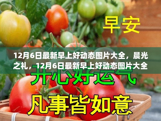 晨光之礼，最新早上好动态图片大全全面评测与介绍（12月6日更新）