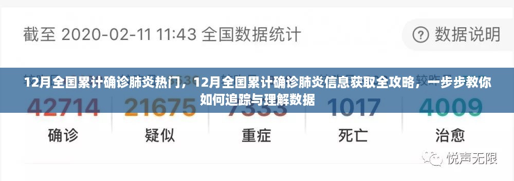 全面解析，如何追踪与理解12月全国累计确诊肺炎信息全攻略
