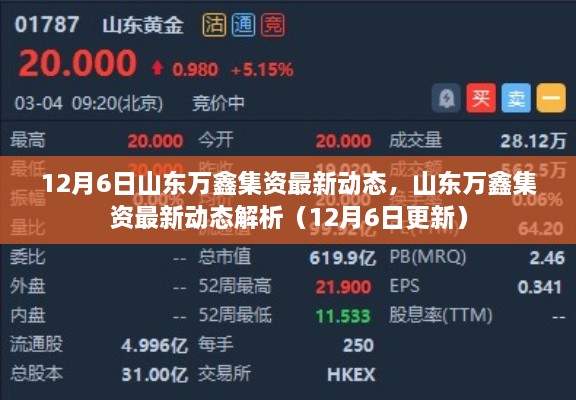 山东万鑫集资最新动态解析（截至12月6日）