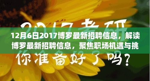 解读职场机遇与挑战，博罗最新招聘信息发布