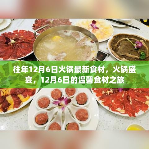 12月6日火锅盛宴，最新食材与温馨之旅