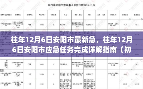 往年12月6日安阳市应急任务完成详解指南，从初学者到进阶用户的全方位指导