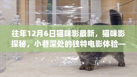 往年12月6日猫咪影最新，猫咪影探秘，小巷深处的独特电影体验——历年12月6日最新篇章