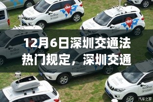 深圳交通法新篇章，热门规定的诞生、影响与地位分析（12月6日更新）