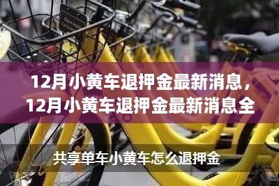 小黄车押金退还最新指南，12月全解析，轻松退还押金步骤