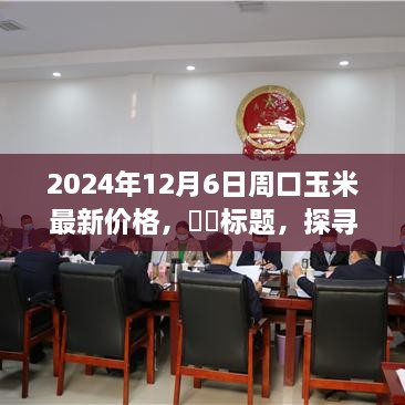 探寻周口玉米金色奇迹，最新行情揭示（2024年12月6日）