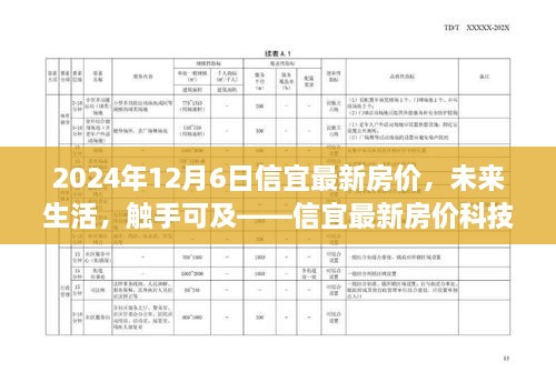 2024年12月8日