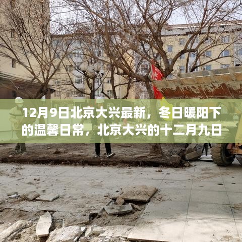 北京大兴十二月九日冬日趣事与温馨日常