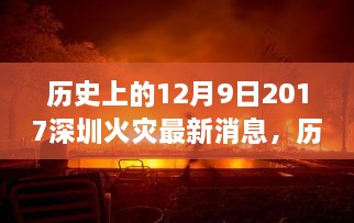 2024年12月9日 第12页