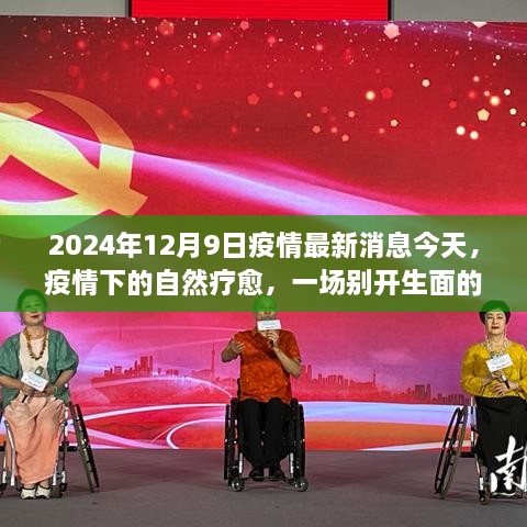 疫情下的自然疗愈，绿色探险之旅的宁静角落（2024年疫情最新消息）