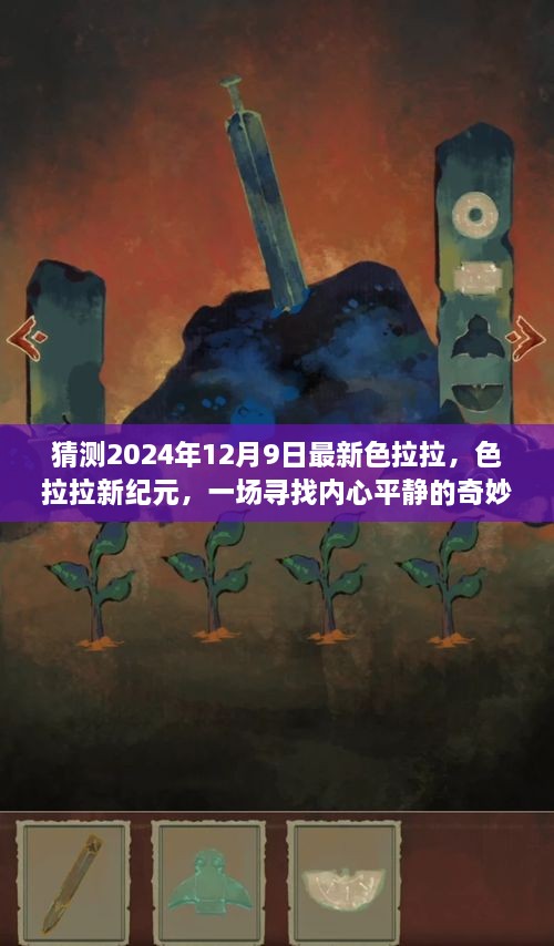 2024年12月9日色拉拉新纪元之旅，探寻内心平静的奇妙自然风景