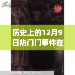 揭秘历史12月9日热门事件背后的神秘小巷风味小店，在线探秘之旅