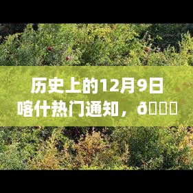 历史上的12月9日喀什科技盛宴，瞩目新品揭秘，感受未来科技的力量