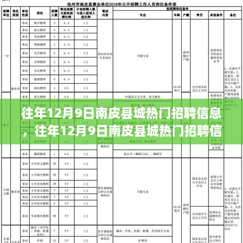 往年12月9日南皮县城热门招聘信息详解，特性、体验、竞争态势与用户分析全解读