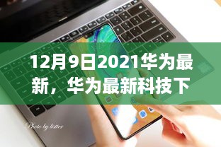 2024年12月10日 第27页