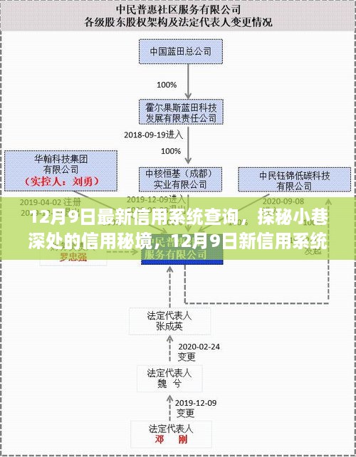 探秘小巷深处的信用秘境，12月9日最新信用系统查询之旅