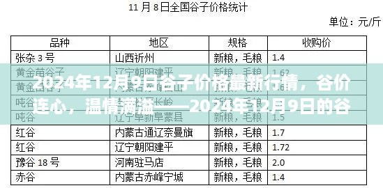 2024年12月9日谷子价格行情概览，谷价动态，情感交织的谷物之旅