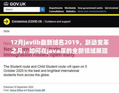 Javlib域名升级启示录，跃动变革的Java库自信展现之路（2019年12月篇）