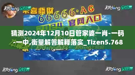 2024年12月10日 第13页