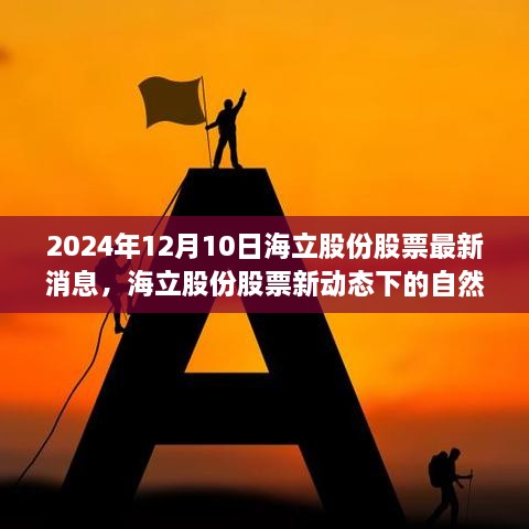 海立股份最新动态，探寻内心宁静与力量的自然之旅（2024年12月10日）