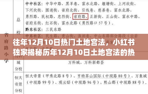 独家揭秘，历年土地宫法热潮盛宴回顾，你错过了吗？小红书带你重温往年土地宫法盛况