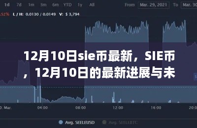 SIE币最新动态，12月10日进展与未来展望