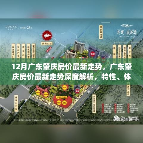 广东肇庆房价最新走势深度解析与竞品对比，特性、体验与用户群体分析