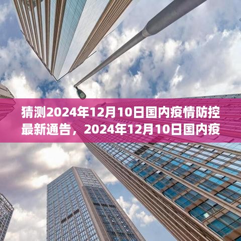 2024年12月11日 第31页