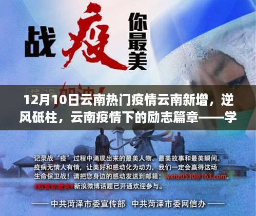 云南疫情下的励志篇章，学习之光照亮前行之路，逆风砥柱坚守抗疫阵地