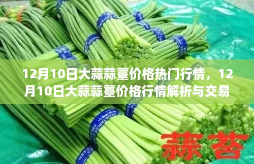 12月10日大蒜蒜薹价格行情解析与交易指南