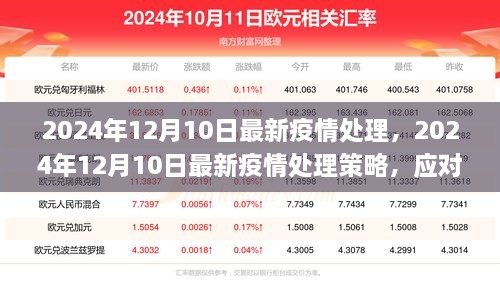 2024年12月10日最新疫情处理策略，应对挑战，重塑安全防线