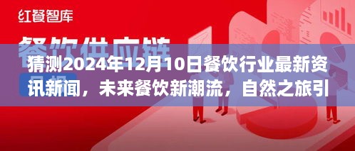 2024年12月11日 第24页