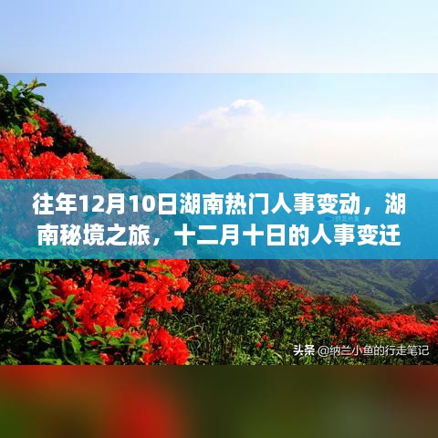 湖南人事变迁与秘境之旅，十二月十日的自然美景与人事动态交汇时刻