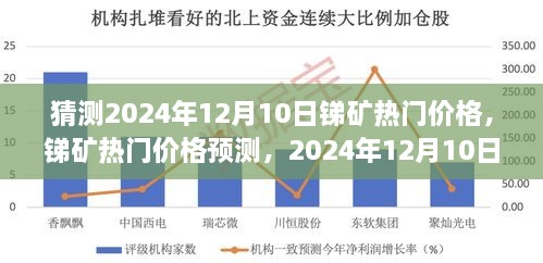 2024年12月11日 第23页