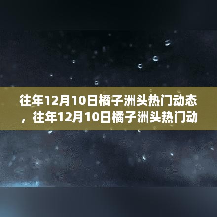 往年12月10日橘子洲头热门动态解析与介绍