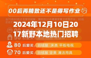 新野招聘日，遇见友情与机遇的温馨故事（2024年）