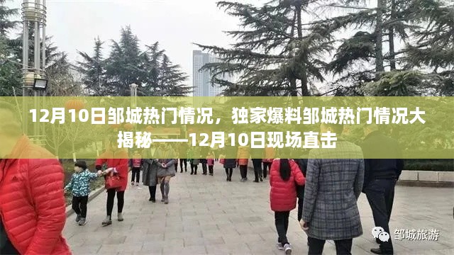 独家爆料，邹城热门情况大揭秘——现场直击12月10日